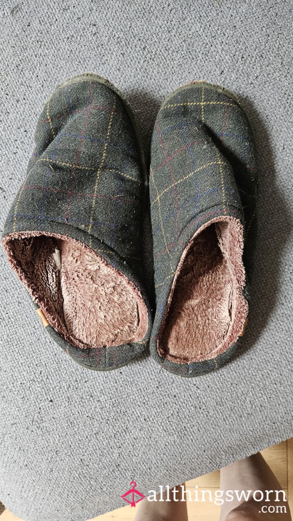 Mens Well Worn Slippers Size 11