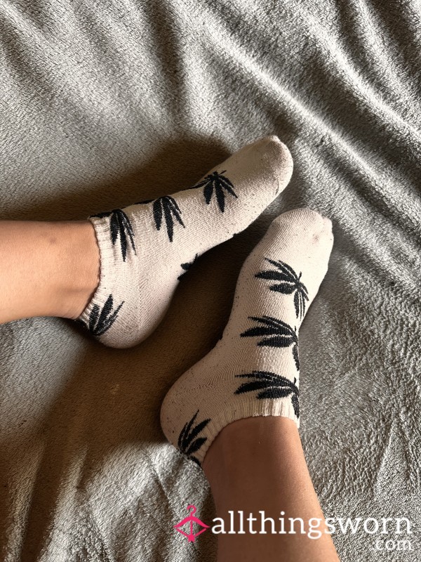 Mes Chaussettes Préférer
