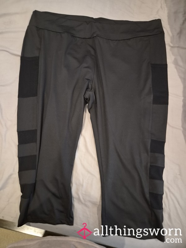 Mesh Panel Gym Pants Cropped