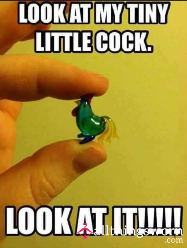 Mini/UGLY/LOPSIDED/PATHETIC C*ck TAX