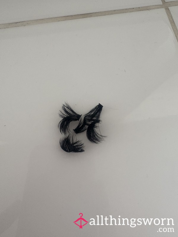Miss Mollies Used Eyelashes