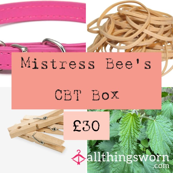 Mistress Bee’s CBT Box