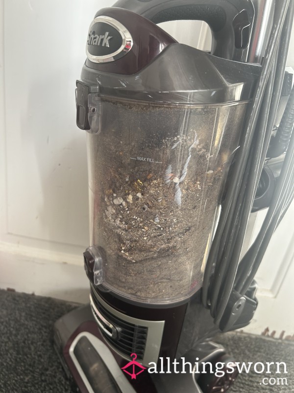 Mistress’s Hoover Dust