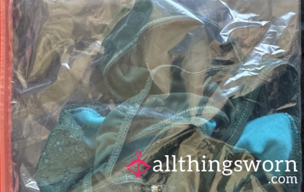 Mistress’s Panties