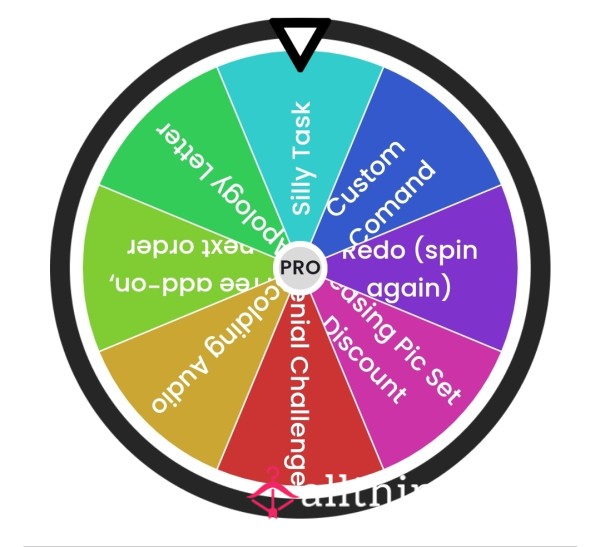 Mommy's Punishment Wheel
