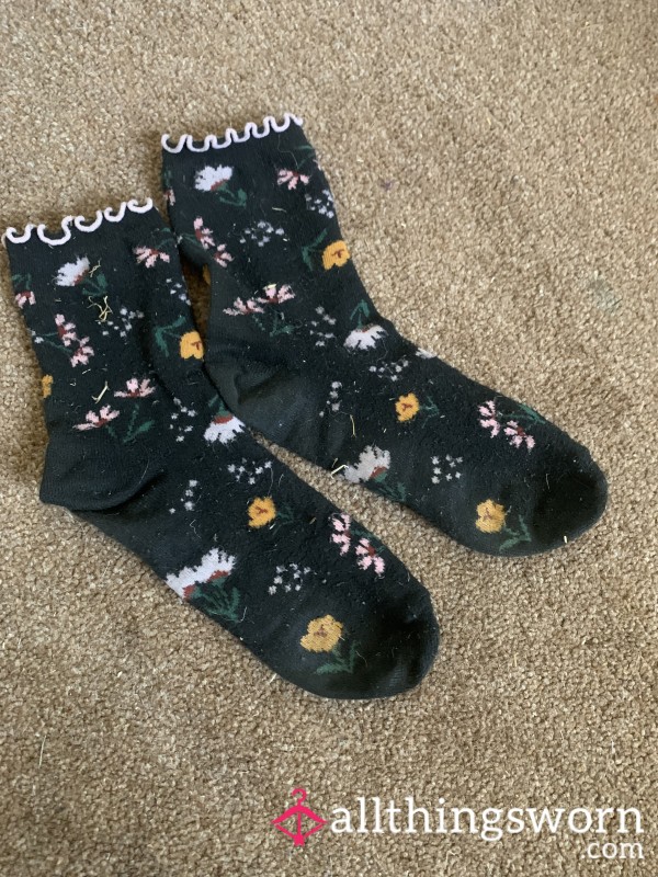 More Smelly Horse Socks