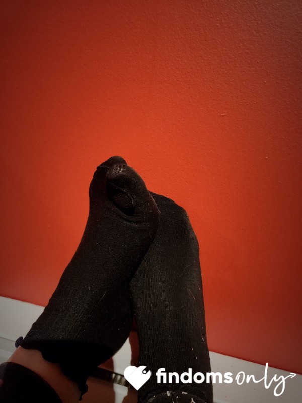 Moving Stinky 24h Socks ( Limited)