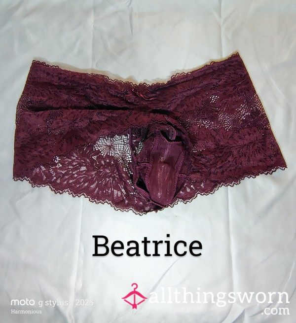 Ms. Beatrice Who's Been Worn 3 Days While Working