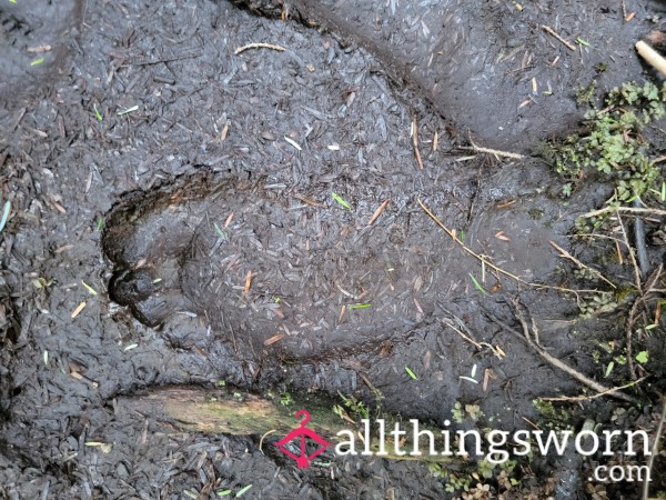 Muddy Feet Squishing In The Mud