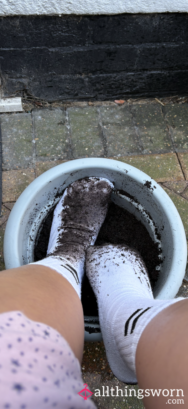Muddy Socks 🧦
