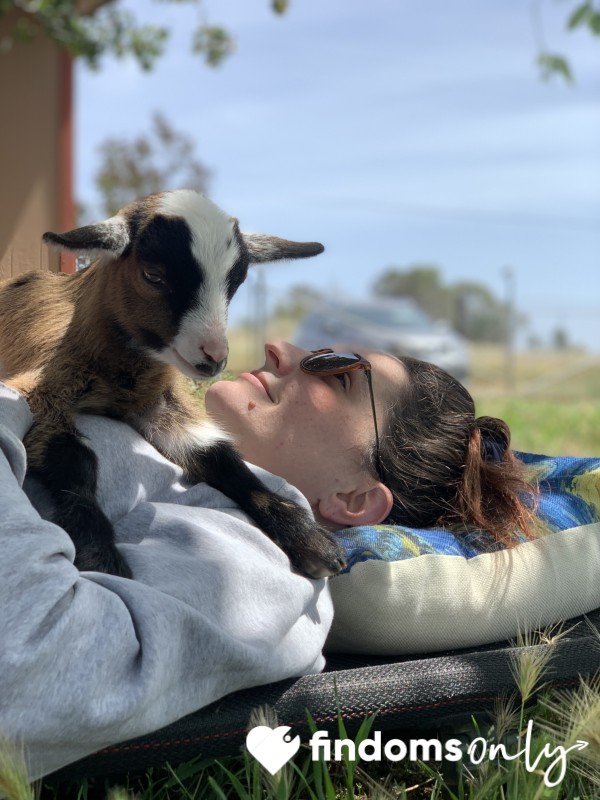 My Animals Deserve To Just As Spoiled As Me
