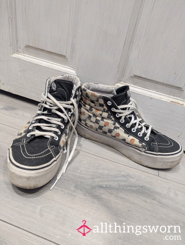 My Beloved Vans