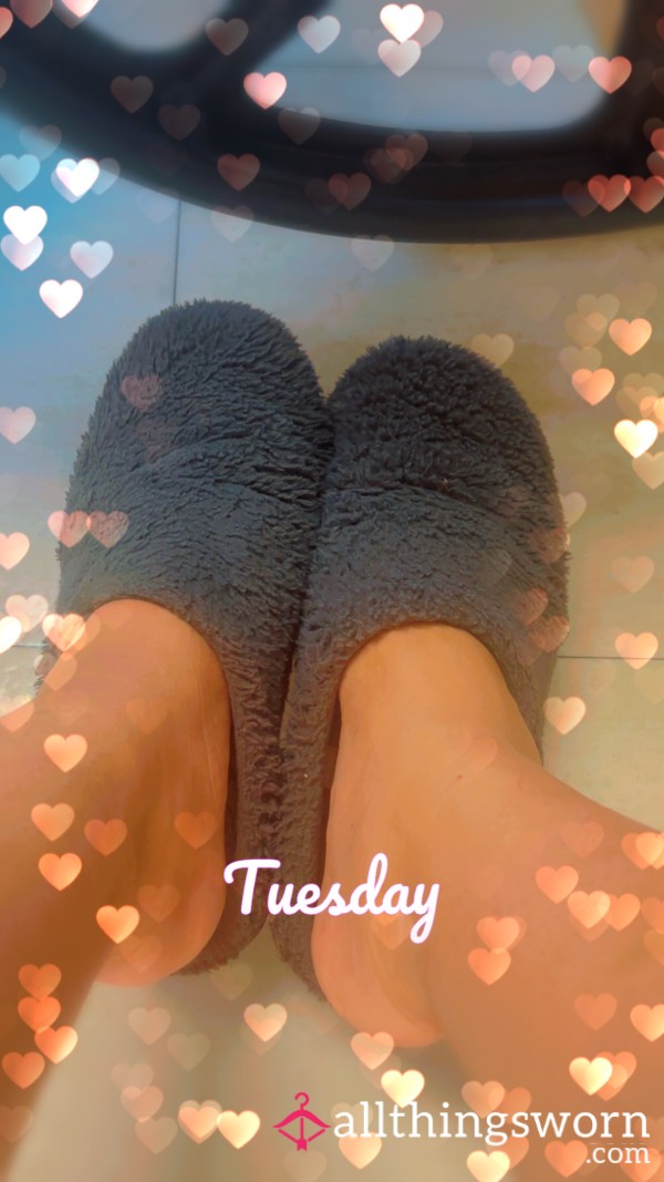 My Cute Grey Slippers