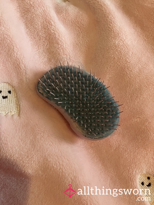 My Dirty Old Hairbrush With Blue Hair