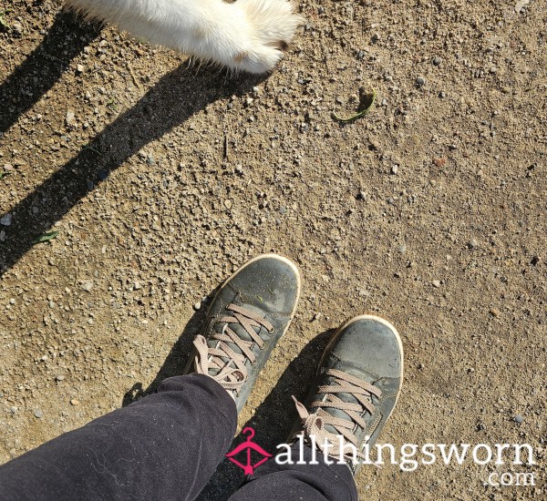 My Doggie Walking Shoes