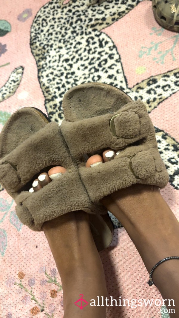 My Fav Slippers