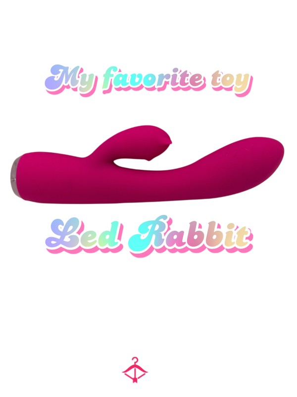 My Favorite Toy