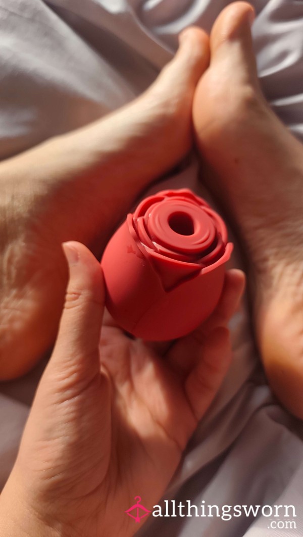 My First Ever Rose Used Vibrator