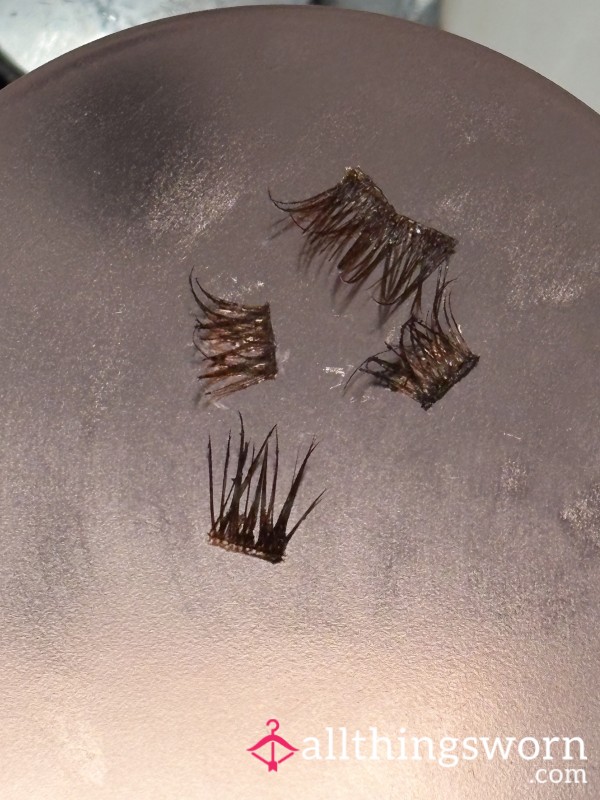 Cluster Lashes - Worn