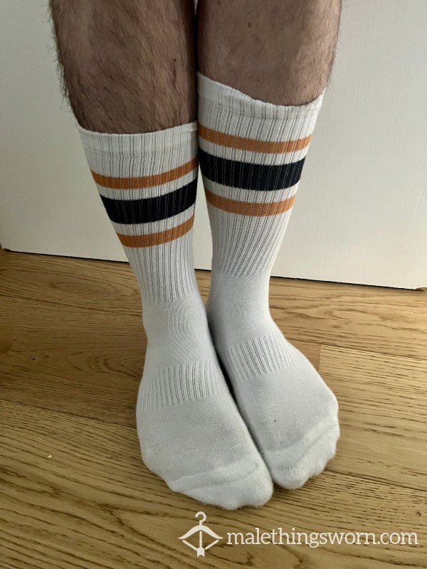 My Gym Stocks