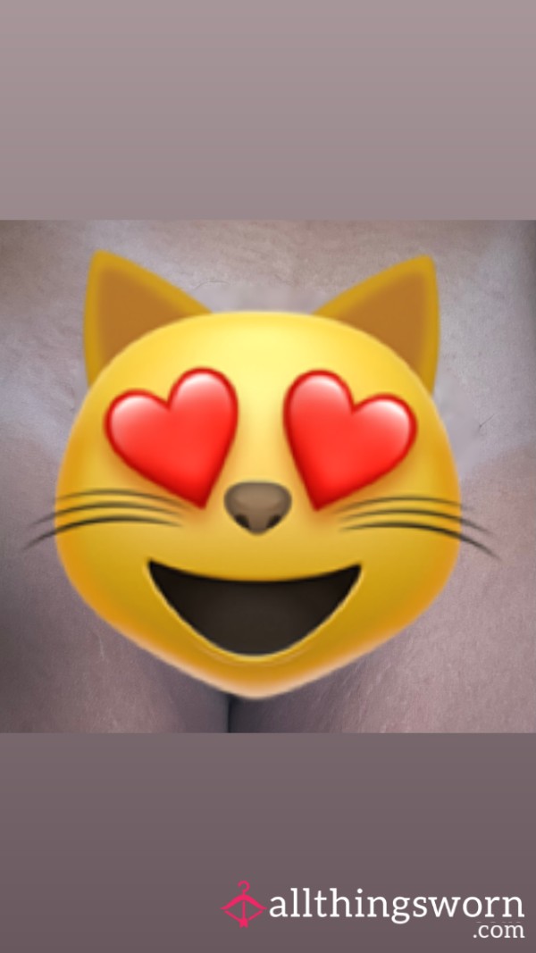 ✨ My Hairy Kitty ✨ (3 Pictures)