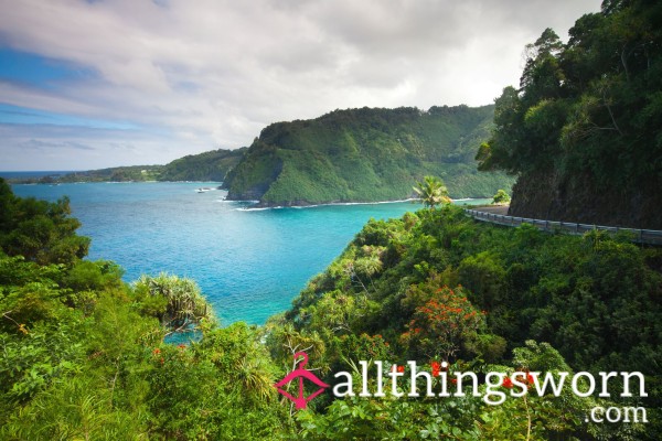My Hawaii Holiday