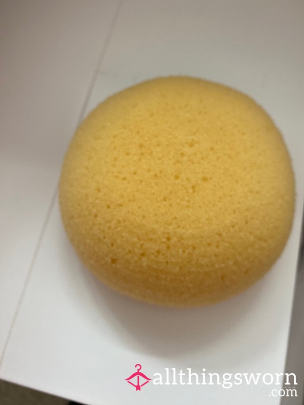 My Heavily Used Bath Sponge
