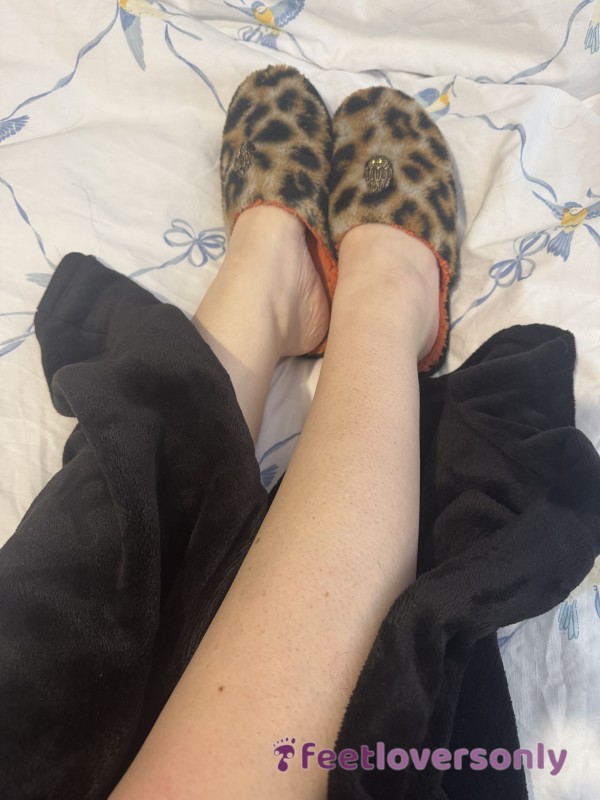 My Leopard Obsession