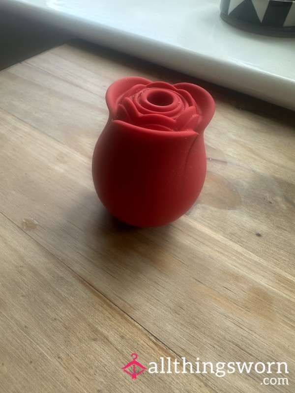 My Much Loved Rose!
