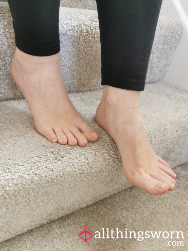 My Pretty Piggies