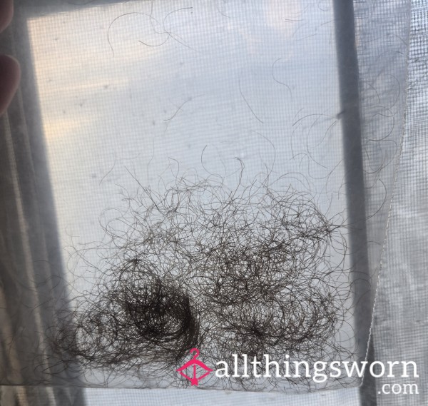 My Pu**y Hair / Bush Trim 🖤