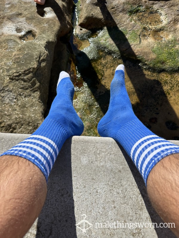 My Stinking Rugby Socks