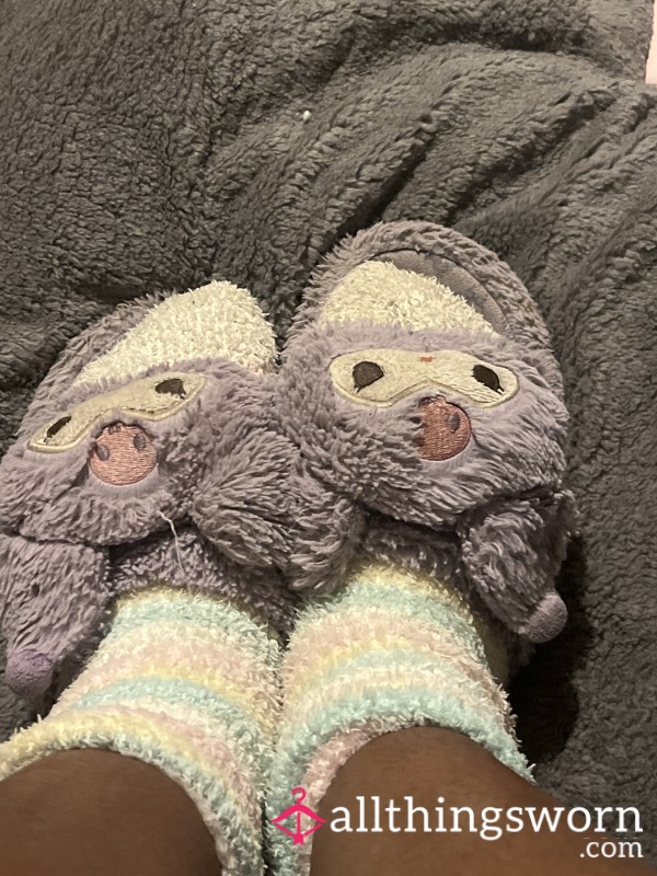 My Stinky And Sweaty Hello Kitty Slippers