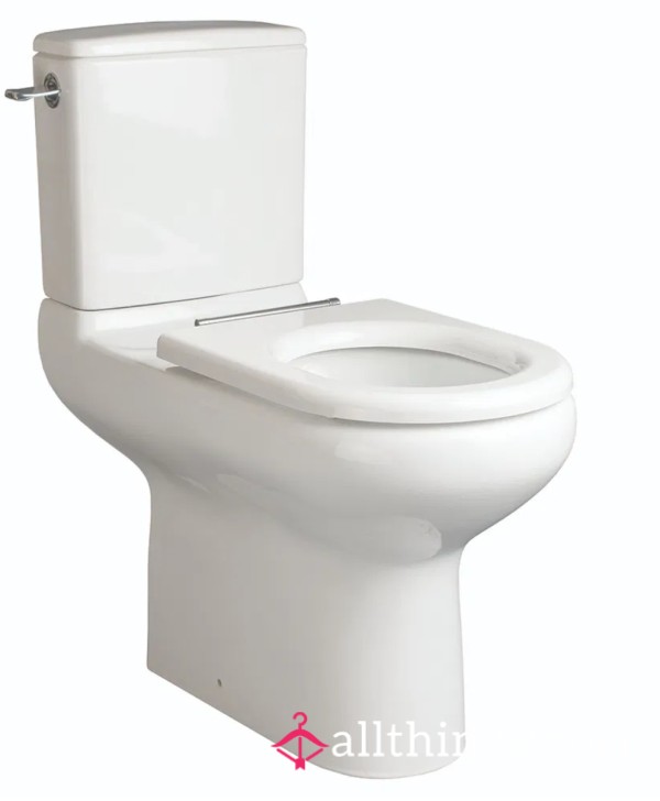 My Toilet Slav3