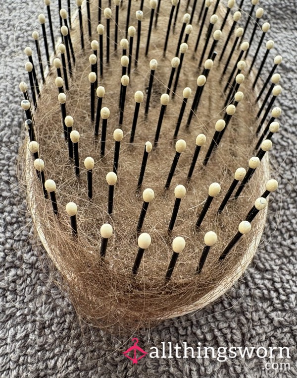 My Used Hair Brush