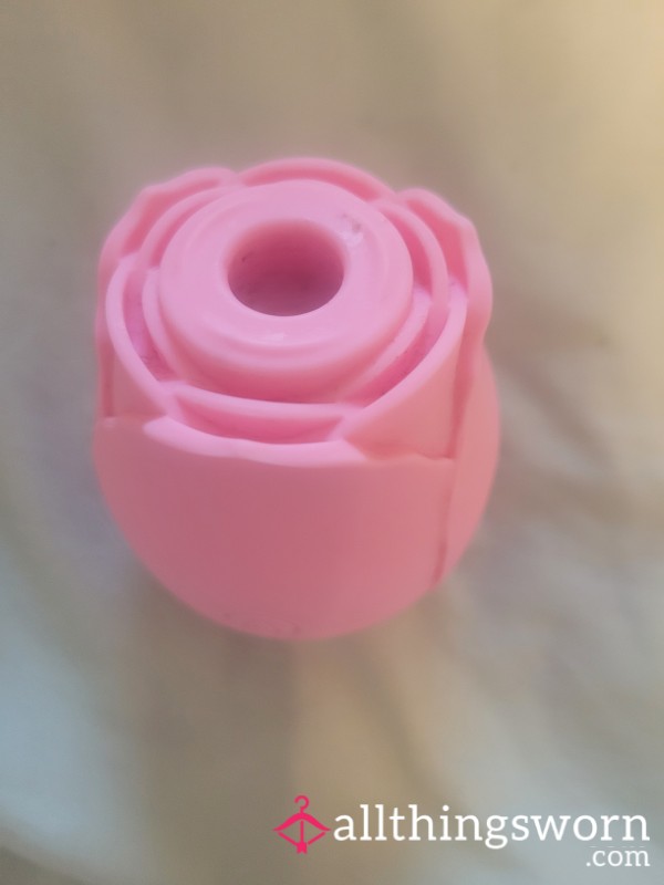My Used Rose