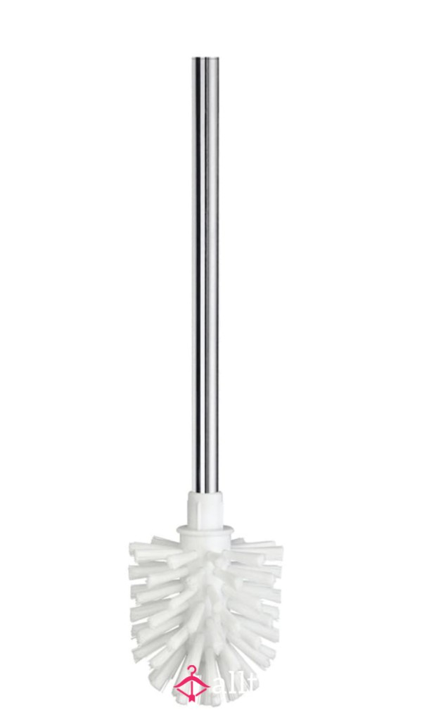 My Used Toilet Brush