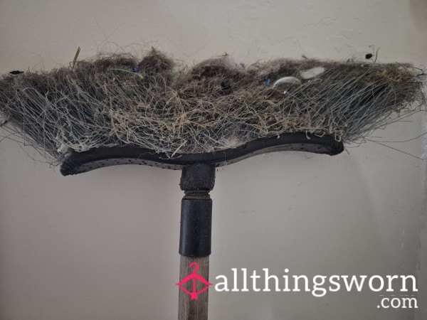 My Very Old Sweeping Brush Absolutely Filthy