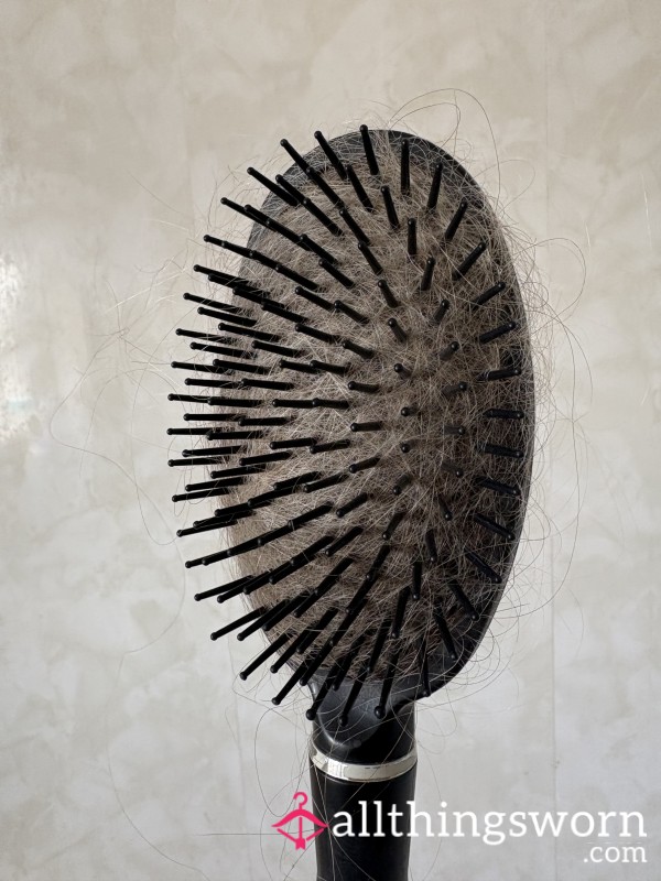 Lauren’s Loved Hairbrush
