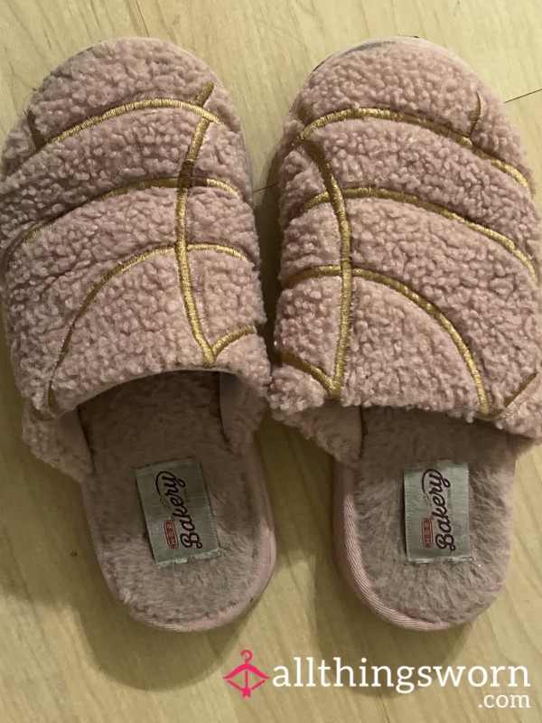 My Worn Out Stinky House Slippers