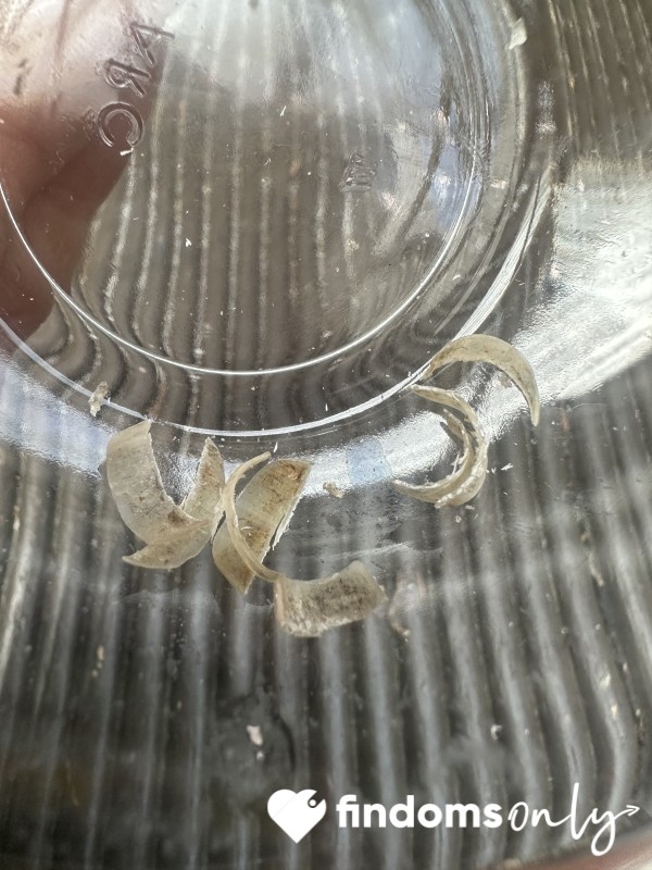 Nails Clippings