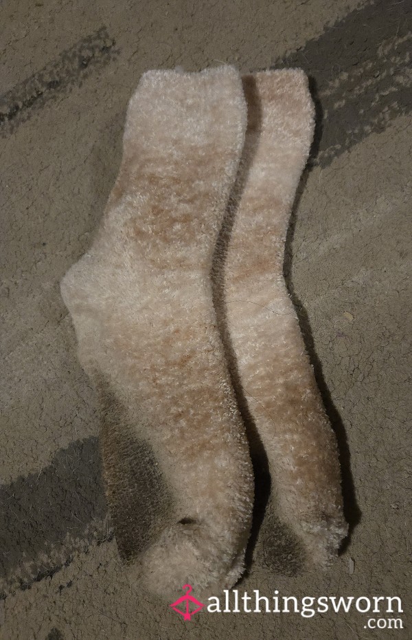 Nasty Dirty Old Fuzzy Socks