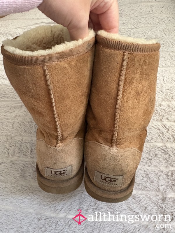 Nasty Smelly UGG Boots Chestnut UK5