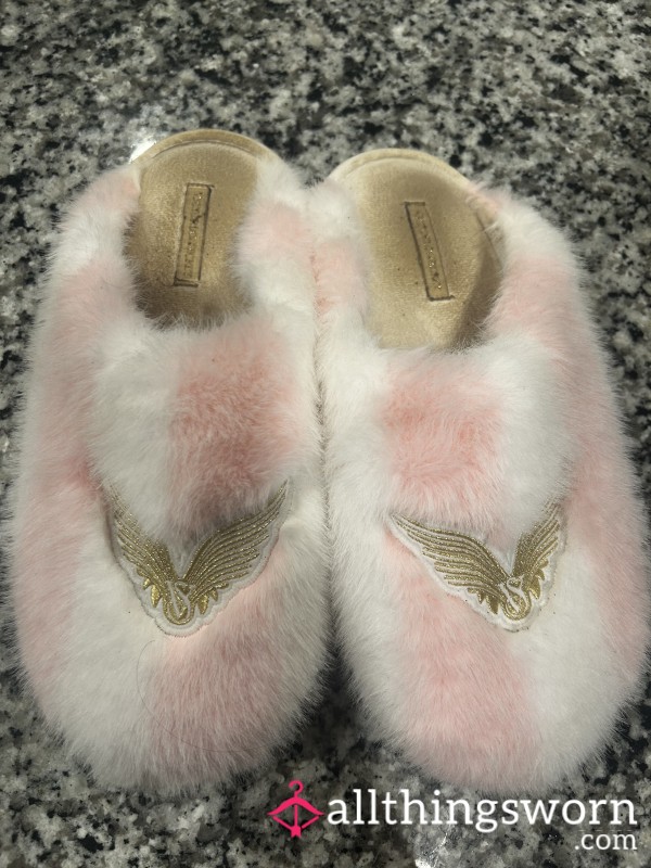 Nasty & Stinky VS Slippers