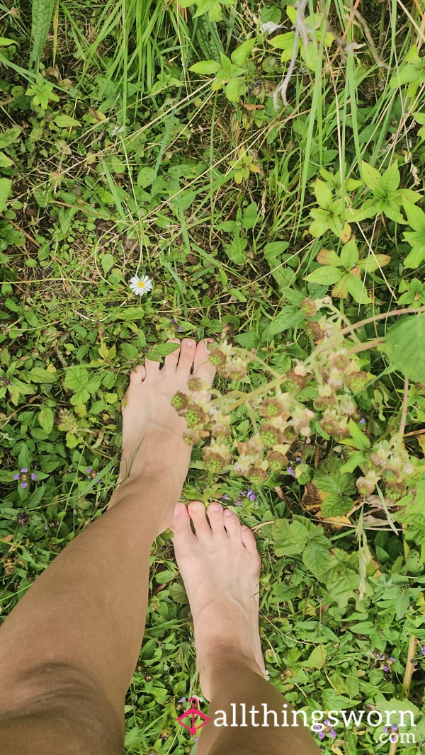 Nature Wal