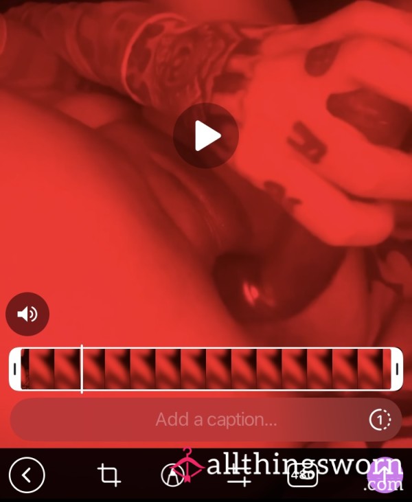 All About Me And My Pu**y *solo*