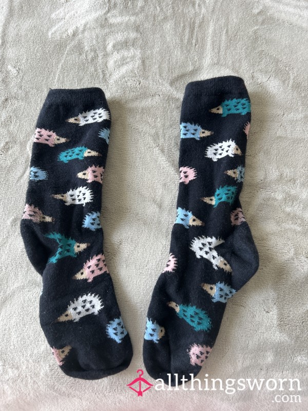 Navy Hedgehog Socks 🧦
