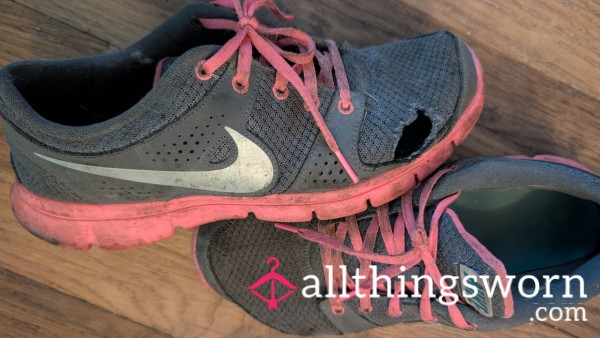Need A New Home Everyday Sneakers