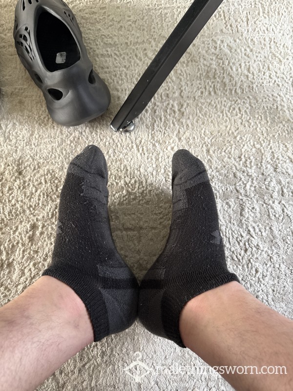 Need To Find These A New Home