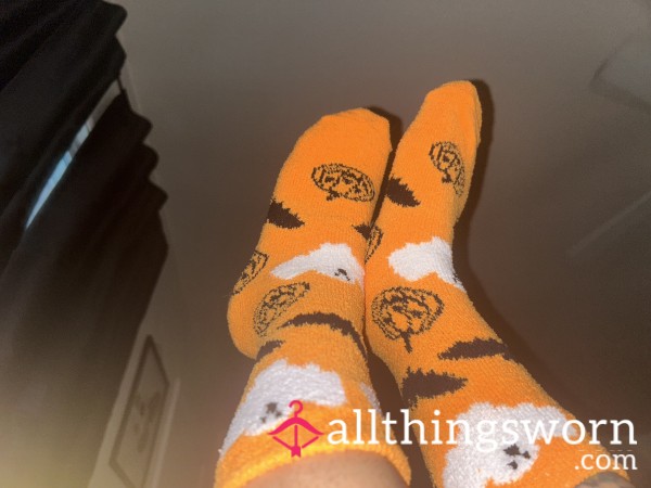 Never Too Early For Halloween 🎃👻💀